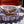 Rocky Patel Special Edition Robusto (BUNDLE)
